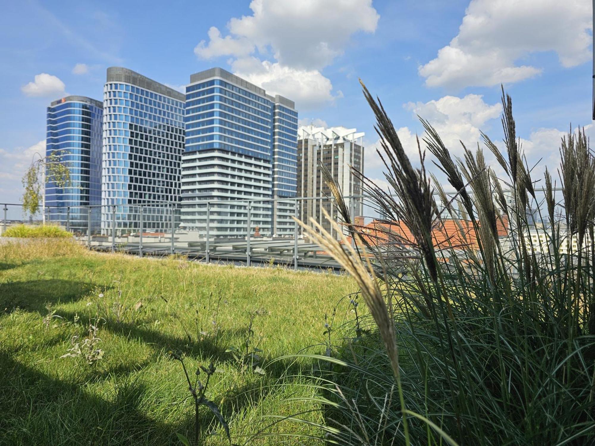 Urban Apartments Premium, Opolska 10 No 90, 2 Free Garages, Self Check-In كاتوفيتسه المظهر الخارجي الصورة